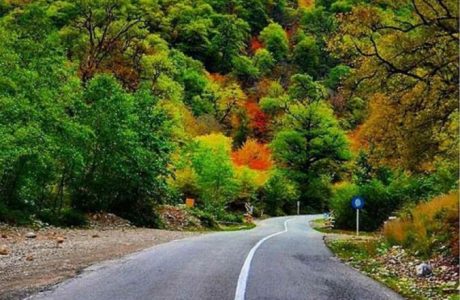 توسکستان ، تماشایی ترین جاده جنگلی در گرگان