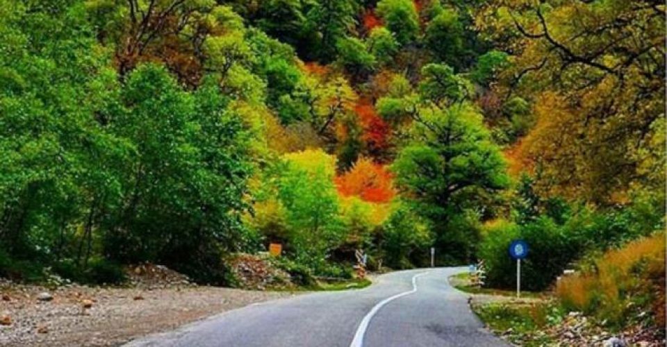 توسکستان ، تماشایی ترین جاده جنگلی در گرگان